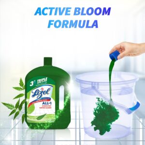 Lizol 975ml - NEEM